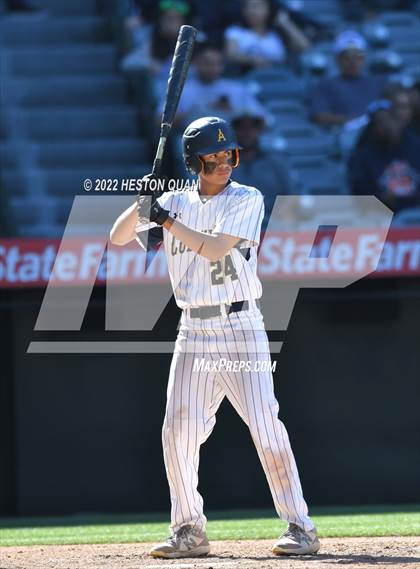 Thumbnail 3 in Segerstrom vs. Anaheim photogallery.