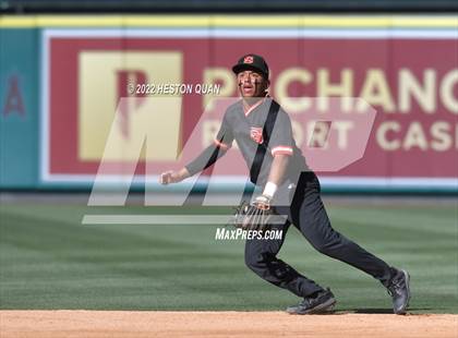 Thumbnail 3 in Segerstrom vs. Anaheim photogallery.