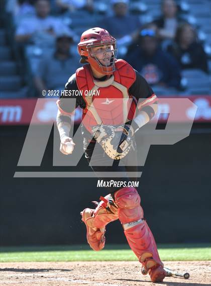 Thumbnail 3 in Segerstrom vs. Anaheim photogallery.