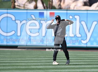 Thumbnail 3 in Segerstrom vs. Anaheim photogallery.