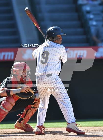 Thumbnail 2 in Segerstrom vs. Anaheim photogallery.