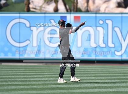 Thumbnail 2 in Segerstrom vs. Anaheim photogallery.