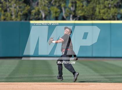 Thumbnail 1 in Segerstrom vs. Anaheim photogallery.