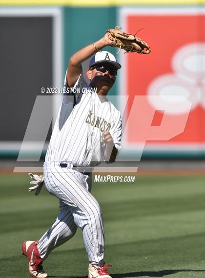 Thumbnail 1 in Segerstrom vs. Anaheim photogallery.