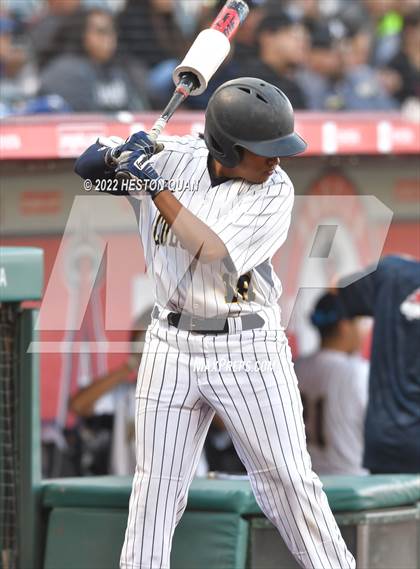 Thumbnail 3 in Segerstrom vs. Anaheim photogallery.