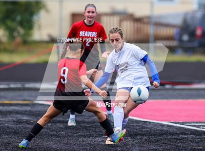 Thumbnail 1 in Rochester @ Tenino (WIAA District 4 Playoffs) photogallery.