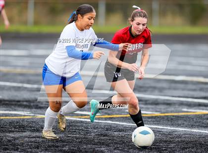 Thumbnail 3 in Rochester @ Tenino (WIAA District 4 Playoffs) photogallery.
