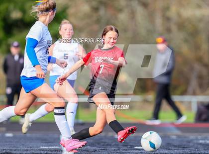 Thumbnail 2 in Rochester @ Tenino (WIAA District 4 Playoffs) photogallery.