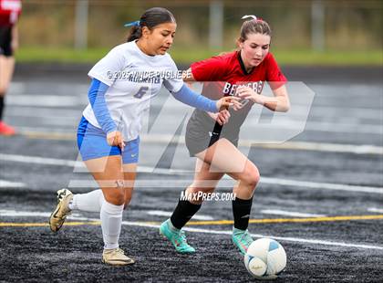 Thumbnail 2 in Rochester @ Tenino (WIAA District 4 Playoffs) photogallery.