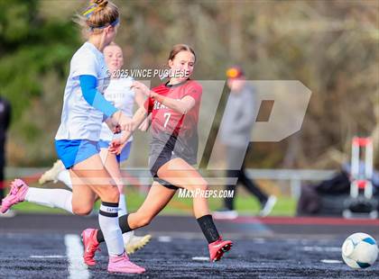 Thumbnail 3 in Rochester @ Tenino (WIAA District 4 Playoffs) photogallery.