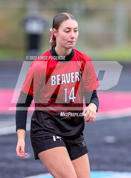 Thumbnail 1 in Rochester @ Tenino (WIAA District 4 Playoffs) photogallery.