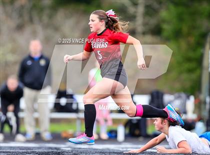 Thumbnail 2 in Rochester @ Tenino (WIAA District 4 Playoffs) photogallery.