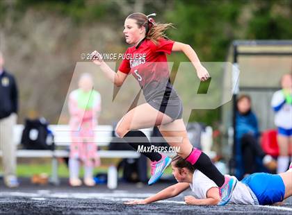 Thumbnail 1 in Rochester @ Tenino (WIAA District 4 Playoffs) photogallery.