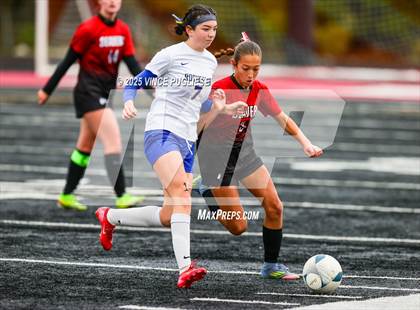 Thumbnail 2 in Rochester @ Tenino (WIAA District 4 Playoffs) photogallery.