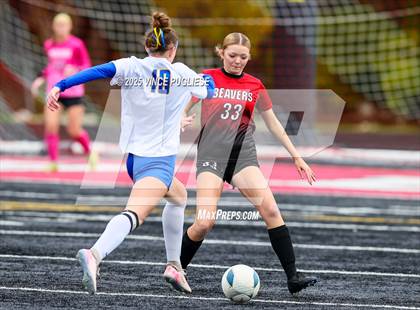 Thumbnail 3 in Rochester @ Tenino (WIAA District 4 Playoffs) photogallery.