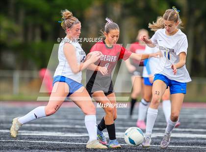 Thumbnail 1 in Rochester @ Tenino (WIAA District 4 Playoffs) photogallery.