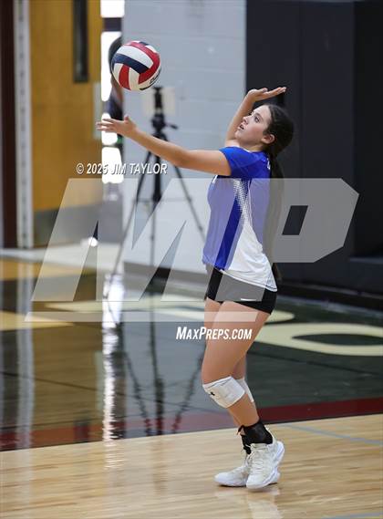 Thumbnail 3 in Garner @ Poolville photogallery.