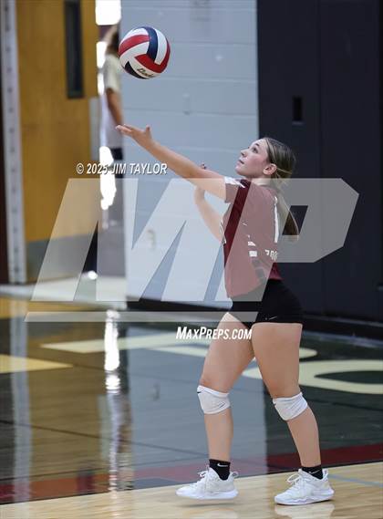 Thumbnail 1 in Garner @ Poolville photogallery.