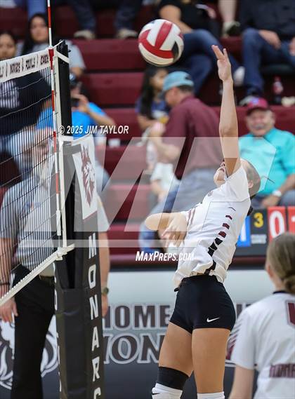 Thumbnail 2 in Garner @ Poolville photogallery.