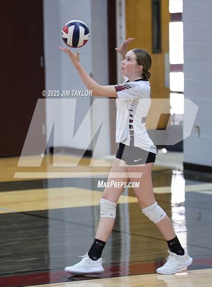Thumbnail 1 in Garner @ Poolville photogallery.