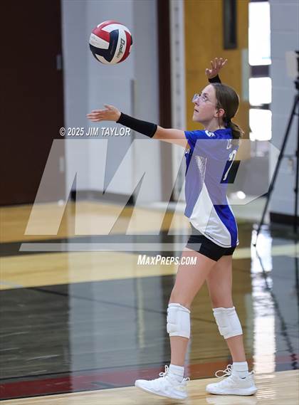 Thumbnail 2 in Garner @ Poolville photogallery.