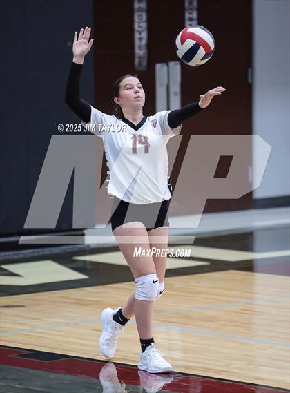 Thumbnail 3 in Garner @ Poolville photogallery.