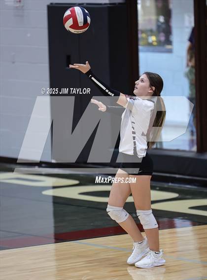 Thumbnail 1 in Garner @ Poolville photogallery.
