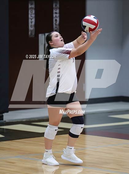 Thumbnail 1 in Garner @ Poolville photogallery.