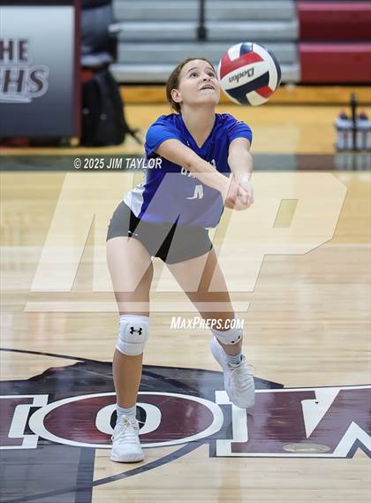 Thumbnail 1 in Garner @ Poolville photogallery.