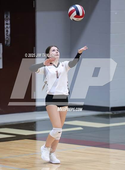 Thumbnail 1 in Garner @ Poolville photogallery.