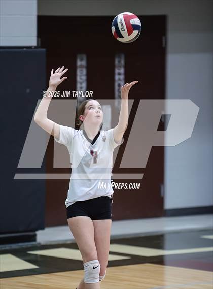 Thumbnail 1 in Garner @ Poolville photogallery.