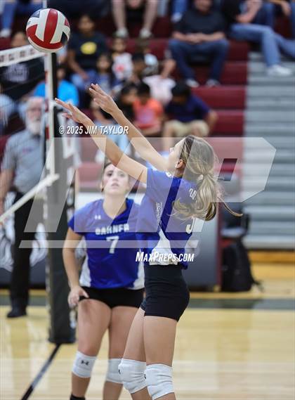 Thumbnail 1 in Garner @ Poolville photogallery.