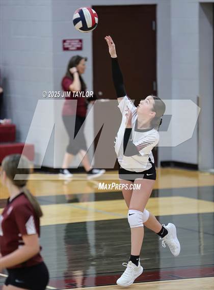 Thumbnail 1 in Garner @ Poolville photogallery.