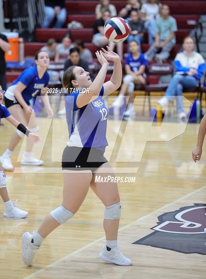 Thumbnail 1 in Garner @ Poolville photogallery.