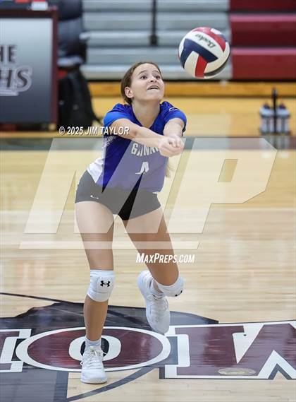 Thumbnail 2 in Garner @ Poolville photogallery.