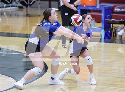 Thumbnail 3 in Garner @ Poolville photogallery.