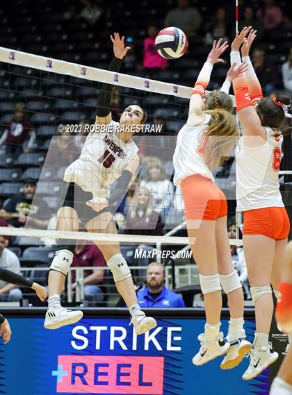 Thumbnail 2 in Davenport vs. Celina (UIL 4A Volleyball Semifinal) photogallery.