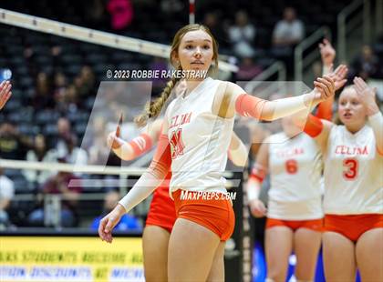 Thumbnail 2 in Davenport vs. Celina (UIL 4A Volleyball Semifinal) photogallery.