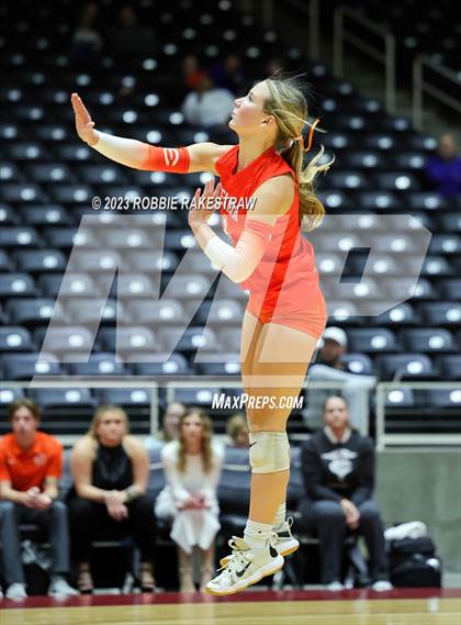 Thumbnail 3 in Davenport vs. Celina (UIL 4A Volleyball Semifinal) photogallery.