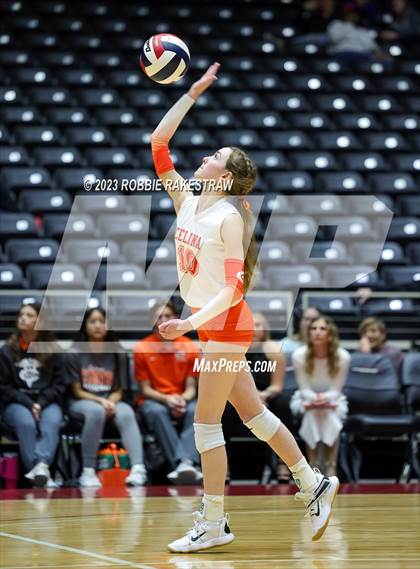 Thumbnail 3 in Davenport vs. Celina (UIL 4A Volleyball Semifinal) photogallery.