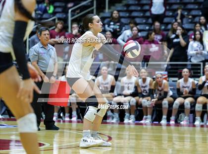 Thumbnail 1 in Davenport vs. Celina (UIL 4A Volleyball Semifinal) photogallery.