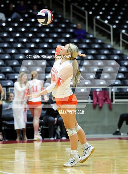 Thumbnail 2 in Davenport vs. Celina (UIL 4A Volleyball Semifinal) photogallery.