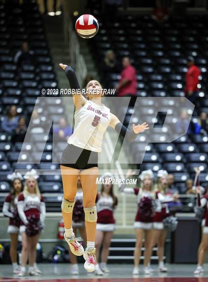 Thumbnail 1 in Davenport vs. Celina (UIL 4A Volleyball Semifinal) photogallery.