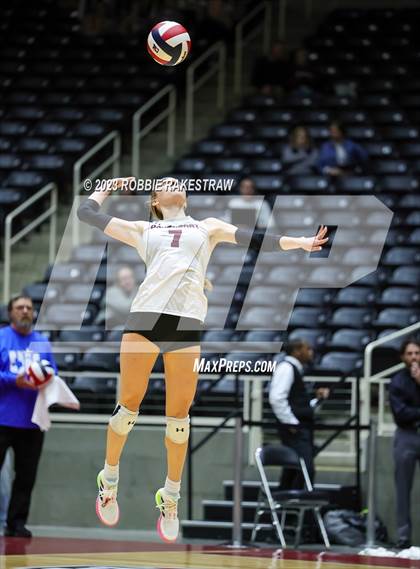 Thumbnail 2 in Davenport vs. Celina (UIL 4A Volleyball Semifinal) photogallery.