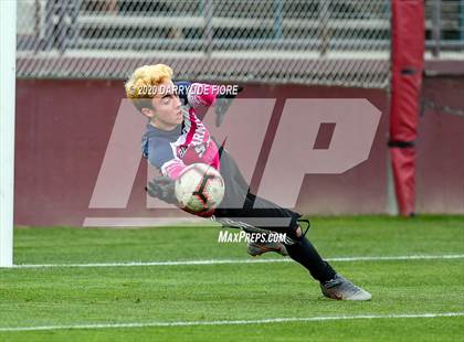 Thumbnail 1 in Sacred Heart Prep vs. Bellarmine College Prep (CIF CCS Open Division Final) photogallery.