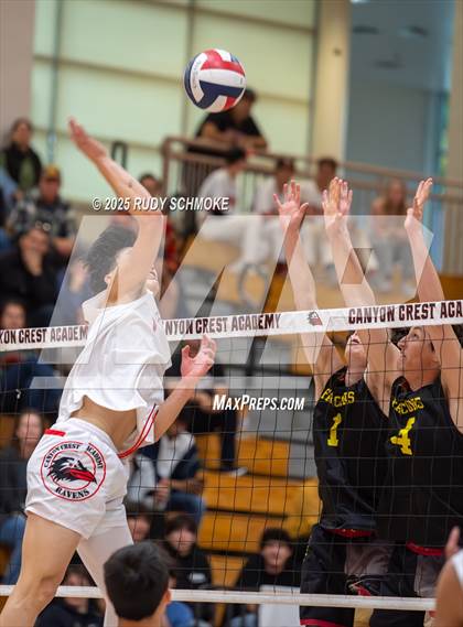 Thumbnail 2 in Torrey Pines @ Canyon Crest Academy photogallery.