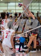 Photo from the gallery "Torrey Pines @ Canyon Crest Academy"