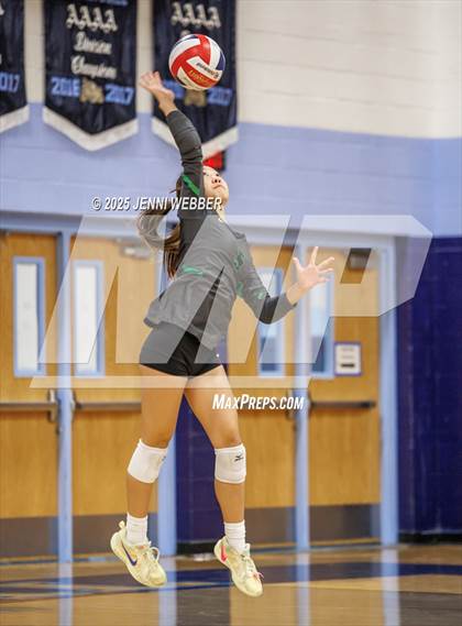 Thumbnail 1 in JV: Palo Verde @ Centennial photogallery.