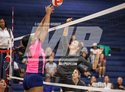 Thumbnail 2 in JV: Palo Verde @ Centennial photogallery.