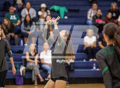 Thumbnail 1 in JV: Palo Verde @ Centennial photogallery.
